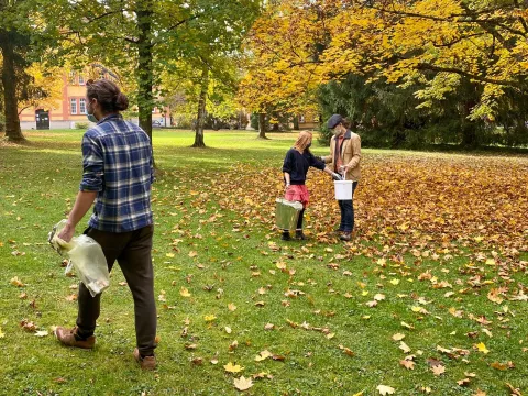 gemeinsames Müllsammeln im Mensa-Park zwischen bunten Herbstblättern